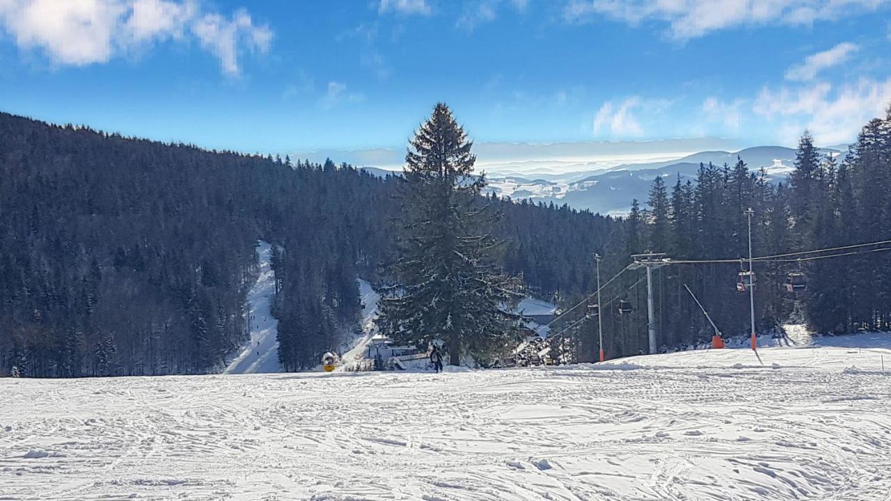 Chalex * Aigen im Mühlkreis