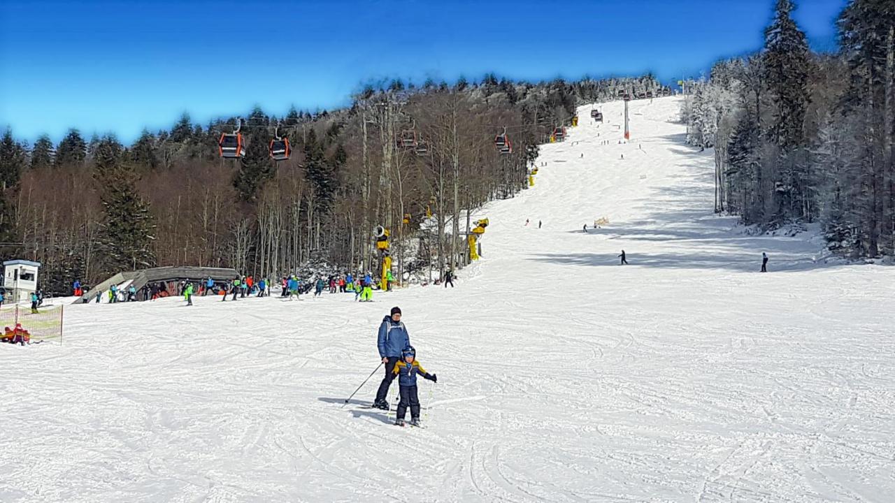 Chalex Chalet Aigen im Mühlkreis